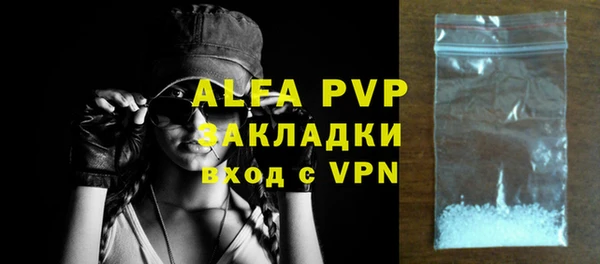 прущие грибы Абаза