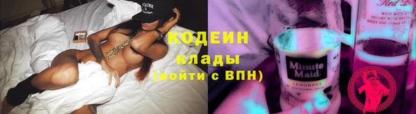 прущие грибы Абаза