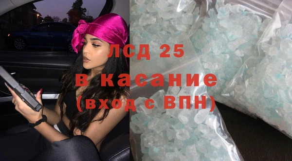 прущие грибы Абаза
