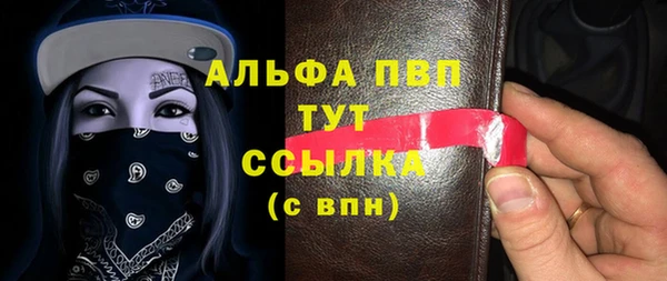 прущие грибы Абаза
